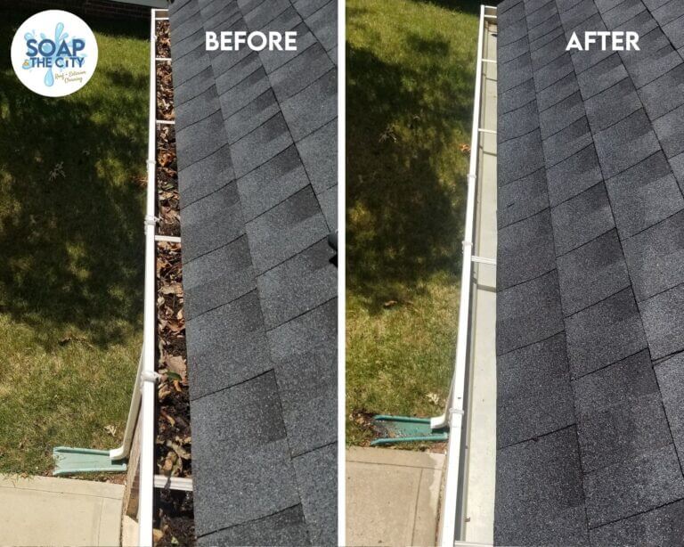 Gutter cleaning