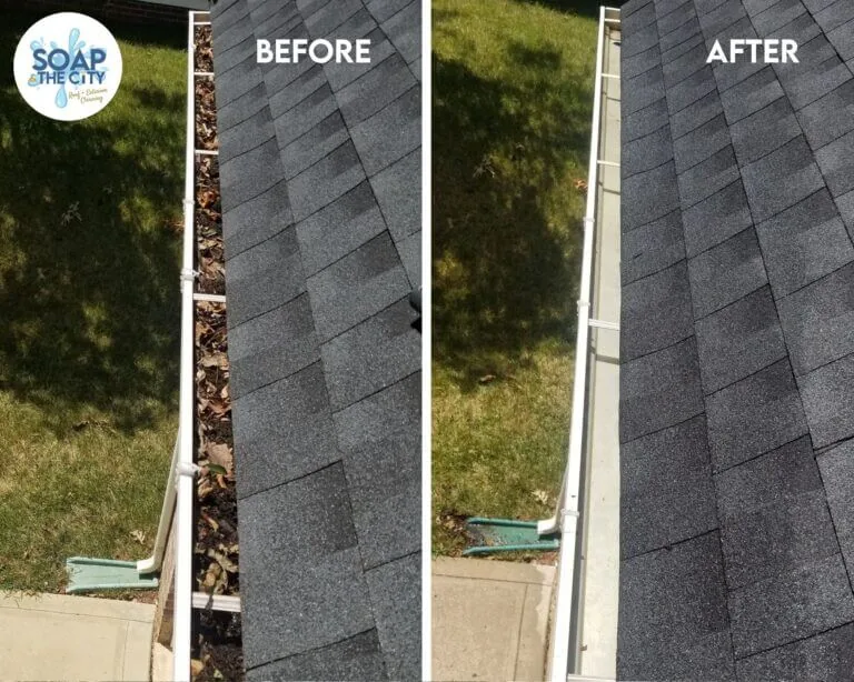 Gutter cleaning