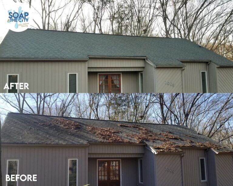 Algae removal from roof