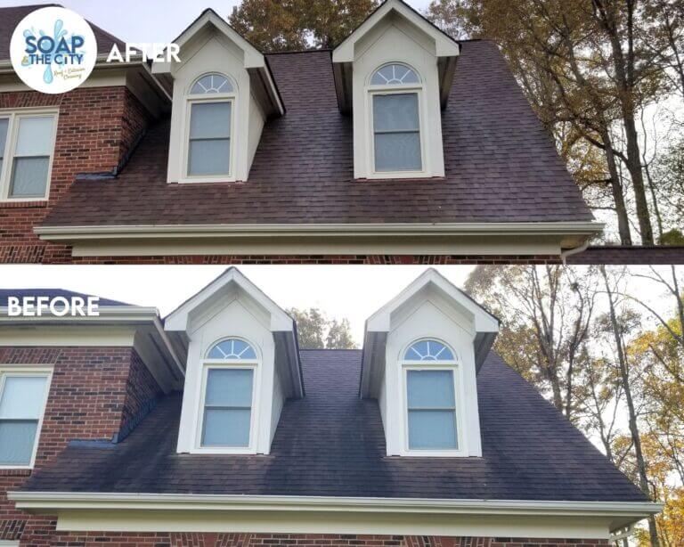 Roof cleaning black streaks