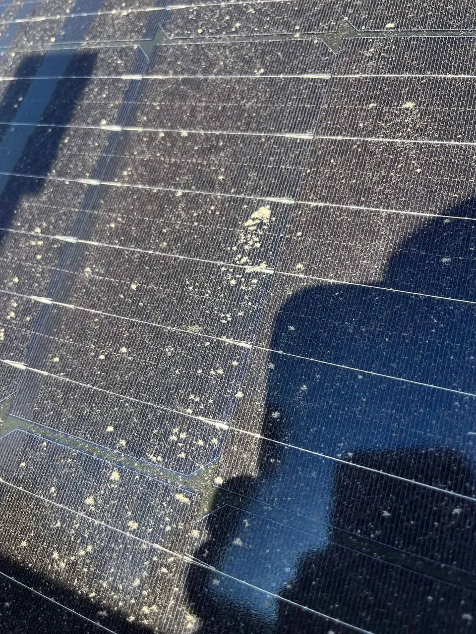 Dirty solar panels before cleaning