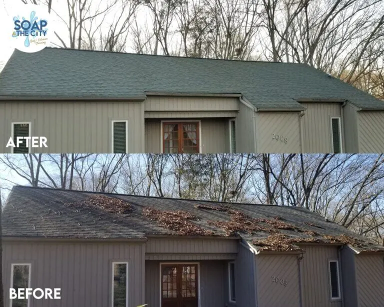 Roof cleaning before and after