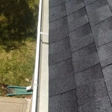 Professional gutter cleaning service
