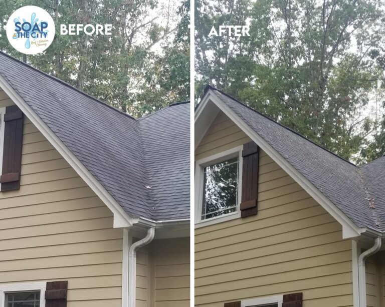 Black Streak Roof Cleaning