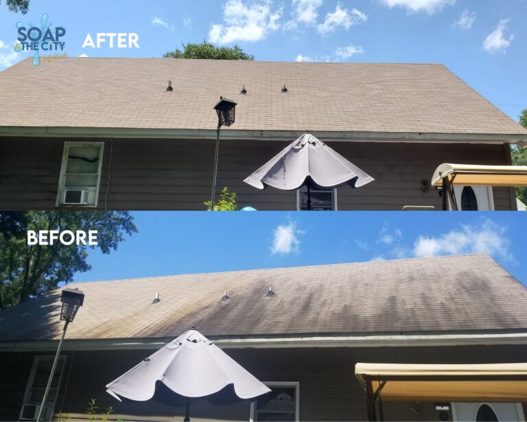 Charlotte Roof Black Streak Removal