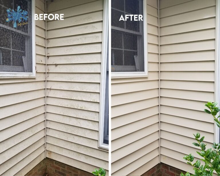 Charlotte Siding Cleaning