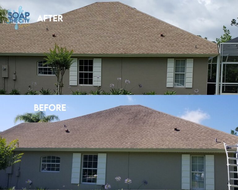 Clean Stains on Roof