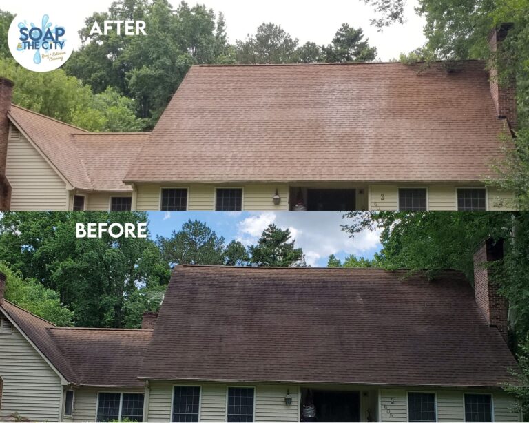 Concord Roof Cleaning