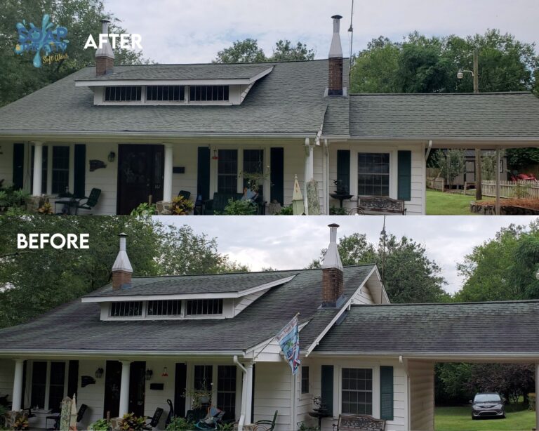 Discolored Roof Cleaning