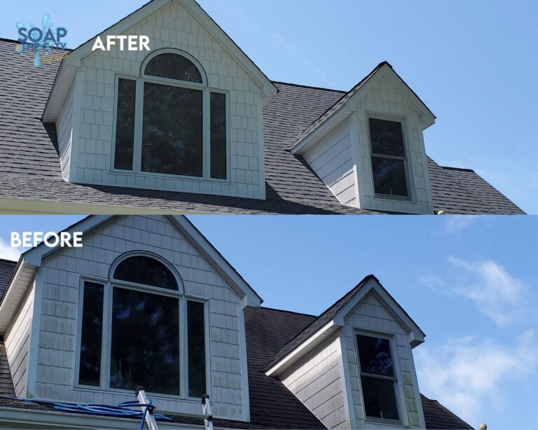 Dormer Cleaning