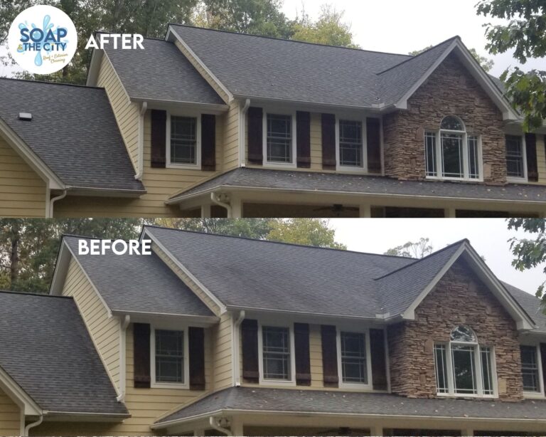 Lake Norman Roof Cleaning