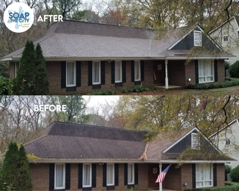 Roof Cleaning