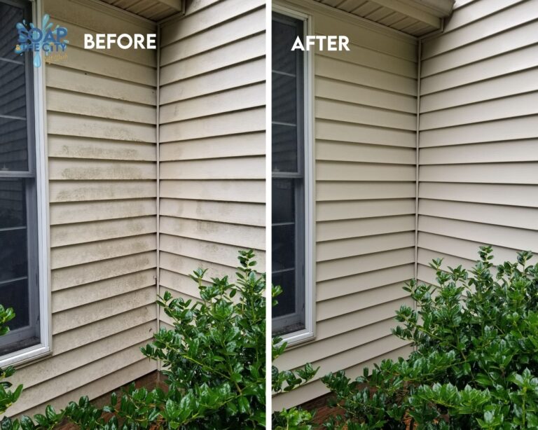 Siding Cleaning