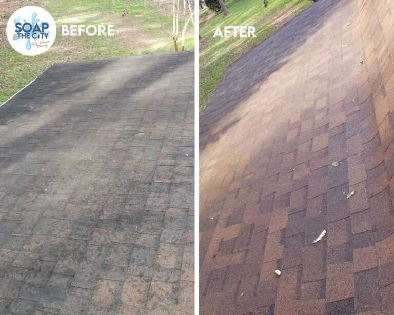 Stained Roof Cleaning